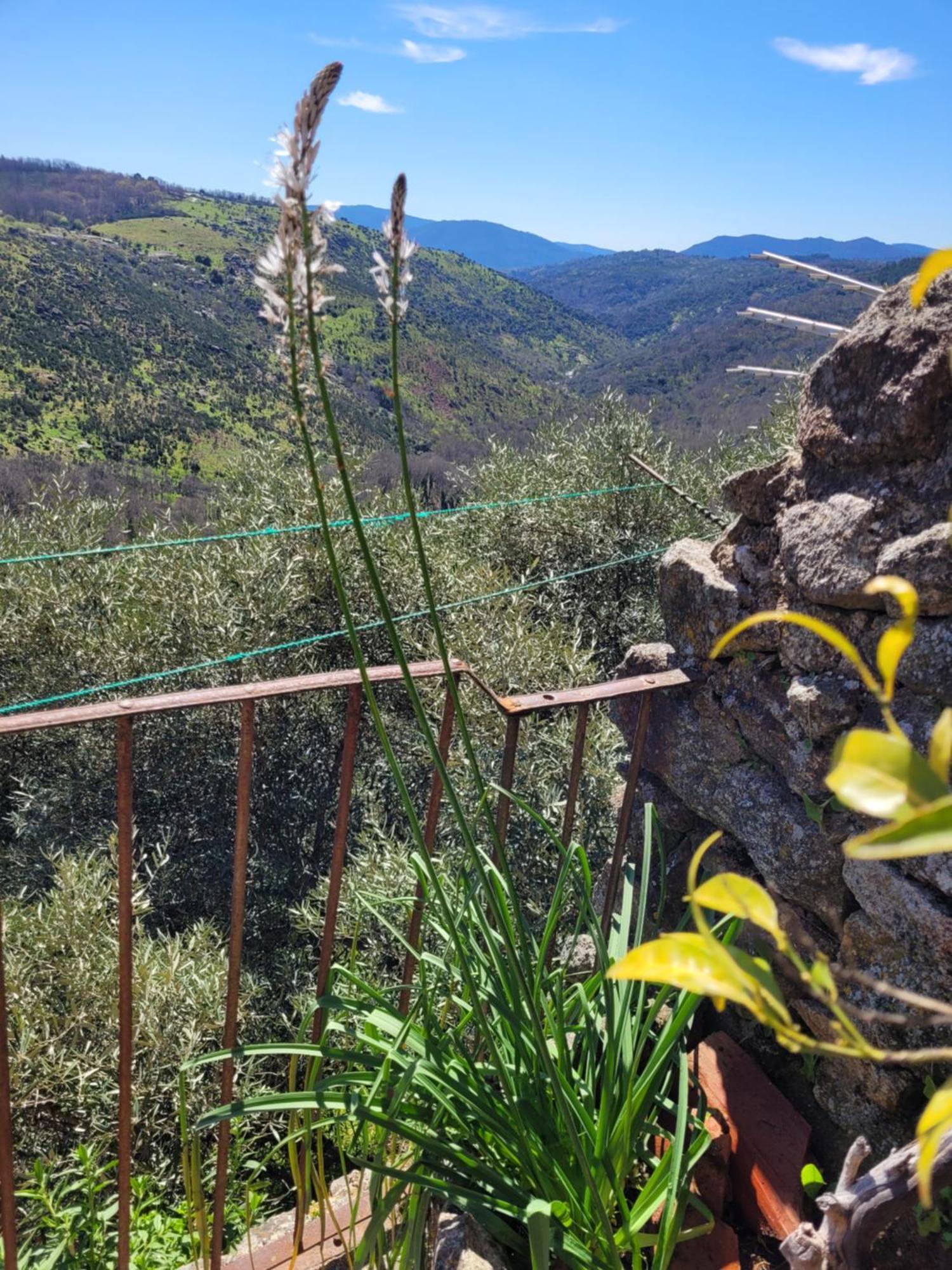 La Muralla * Miranda del Castanar